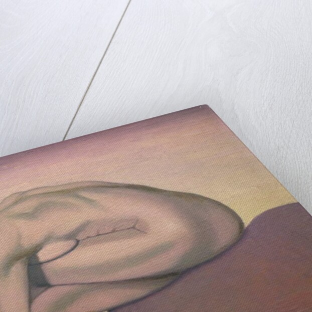 The Bather, 1919 by Felix Edouard Vallotton