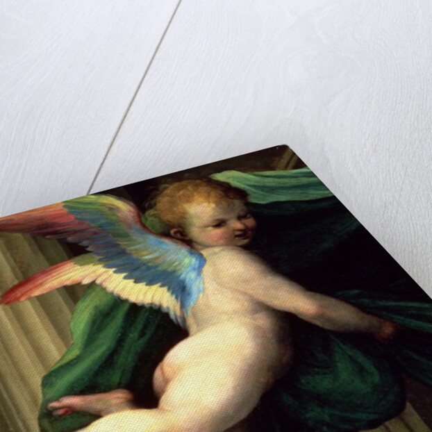 The Mystic Marriage of St. Catherine of Siena with Saints, detail of an angel, 1511 by Fra (1472-1517) Bartolomeo