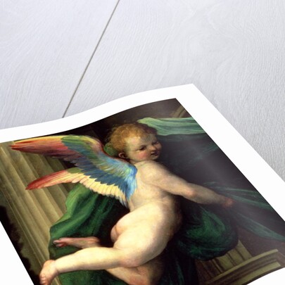 The Mystic Marriage of St. Catherine of Siena with Saints, detail of an angel, 1511 by Fra (1472-1517) Bartolomeo