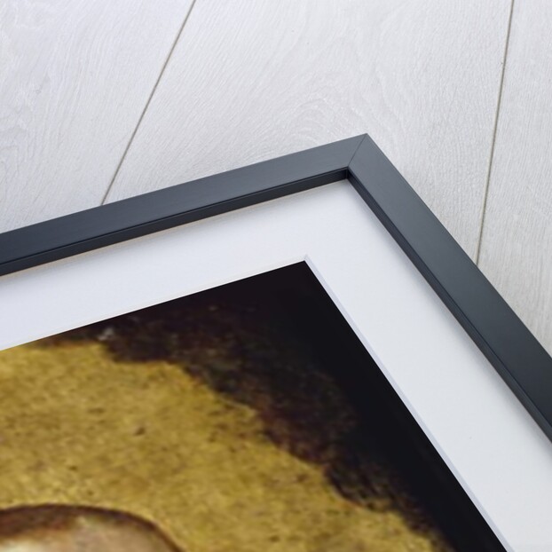 Madonna and Child by Master of St. Giles