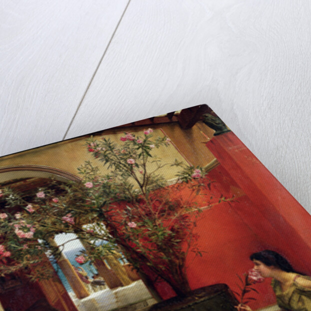 An Oleander, 1882 by Lawrence Alma-Tadema