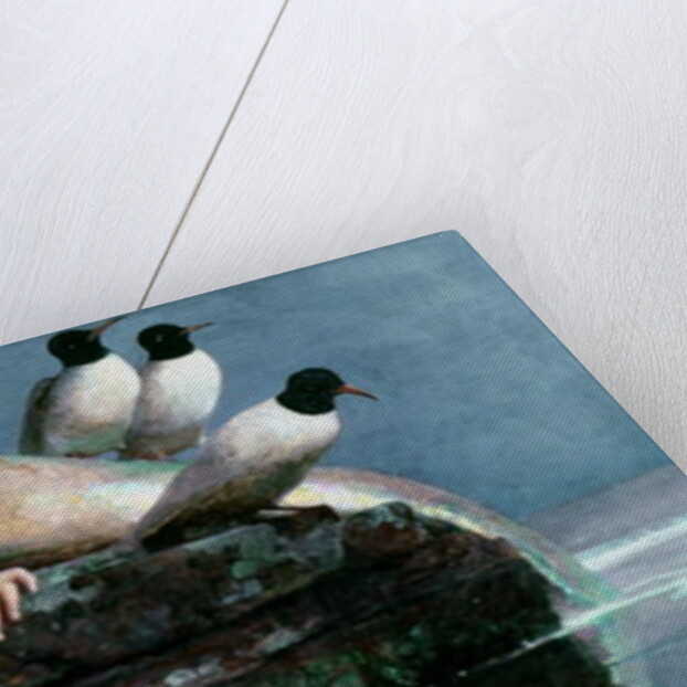 Meerestille, 1886-87 by Arnold Bocklin