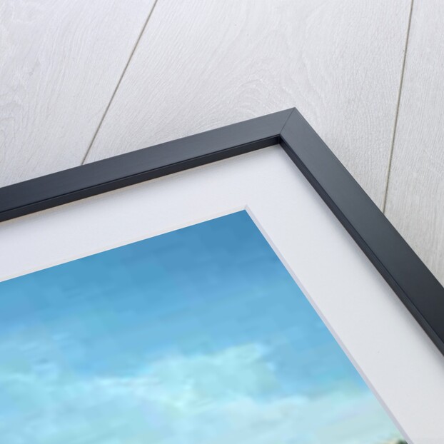 The Casa Foscari and the Palazzo Balbi by Giuseppe Bernardino Bison