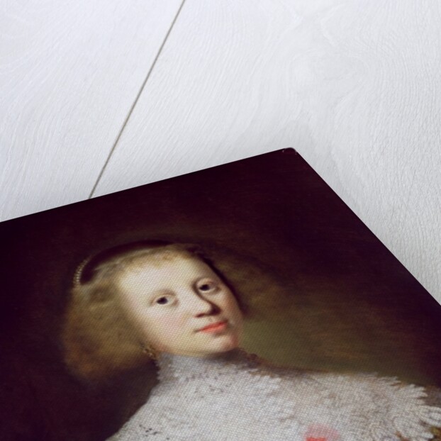 Portrait of a Young Woman by Wybrand Simonsz. de Geest