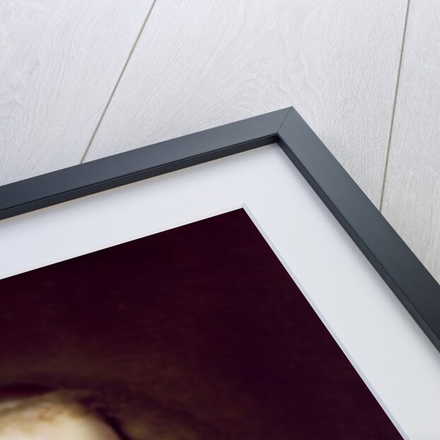 Portrait of a Young Woman by Wybrand Simonsz. de Geest