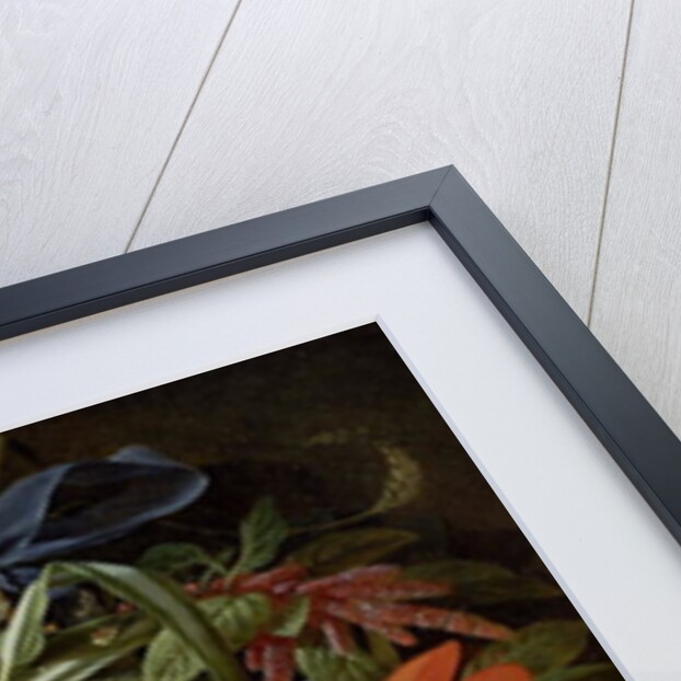 Still Life of Hanging Flowers by Abraham Mignon