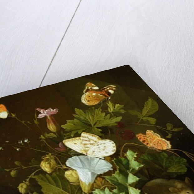 Still Life of a Forest Floor with Flowers, a Mouse and Butterflies by Elias van den Broeck