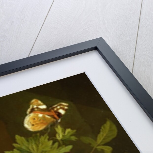 Still Life of a Forest Floor with Flowers, a Mouse and Butterflies by Elias van den Broeck