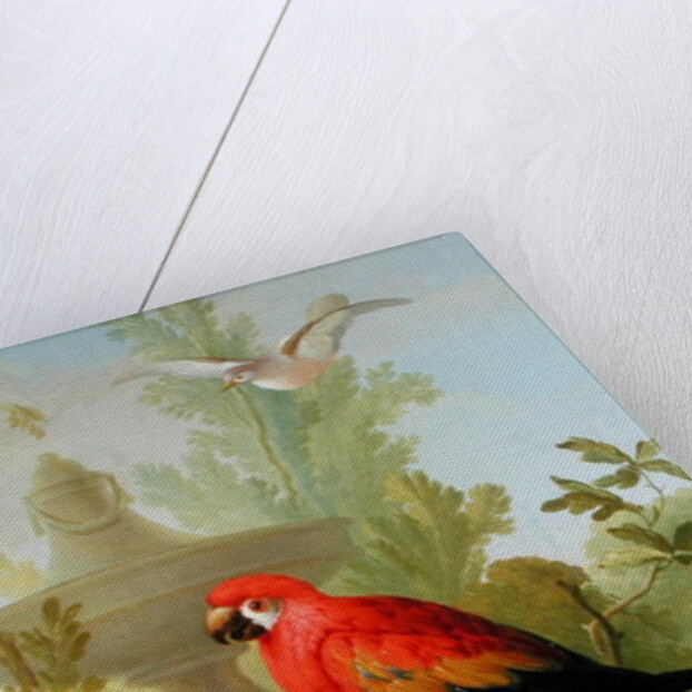 A Macaw and a Dove in an ornamental Garden, 1772 by Gerrit van den Heuvel