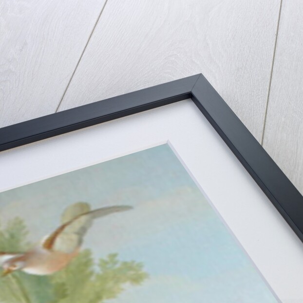 A Macaw and a Dove in an ornamental Garden, 1772 by Gerrit van den Heuvel