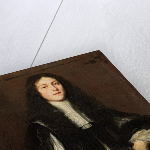 Portrait of a Young Man by Justus Sustermans