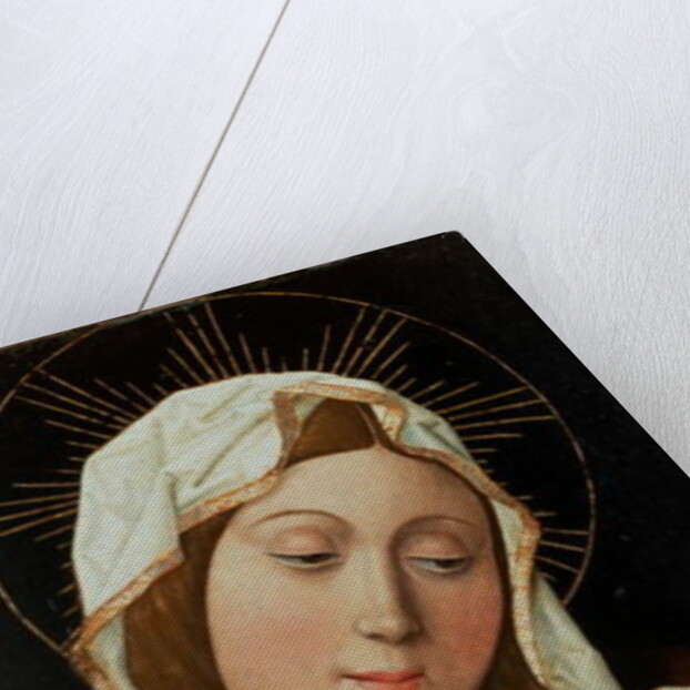 Virgin and Child by Spanish School