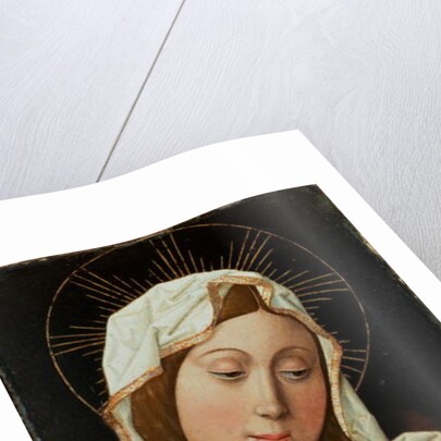 Virgin and Child by Spanish School