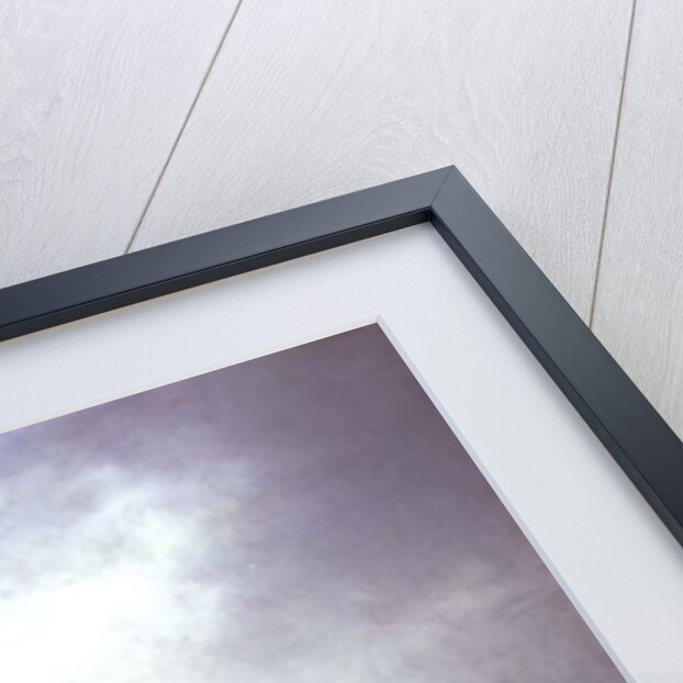 Winter Landscape with Skaters by Adriaen Jansz. van Ostade