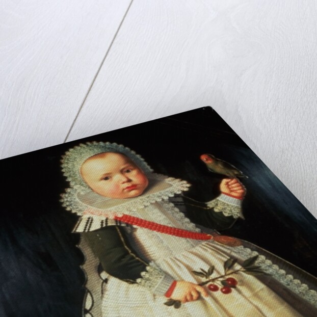 Portrait of a young boy holding a parrot by Wybrand Simonsz. de Geest