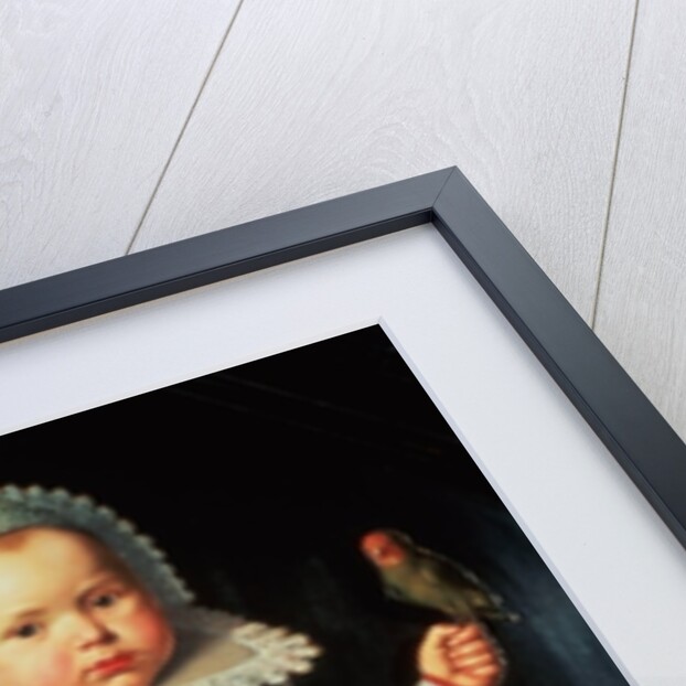 Portrait of a young boy holding a parrot by Wybrand Simonsz. de Geest
