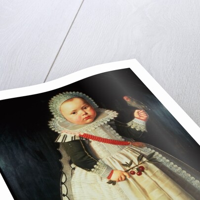 Portrait of a young boy holding a parrot by Wybrand Simonsz. de Geest