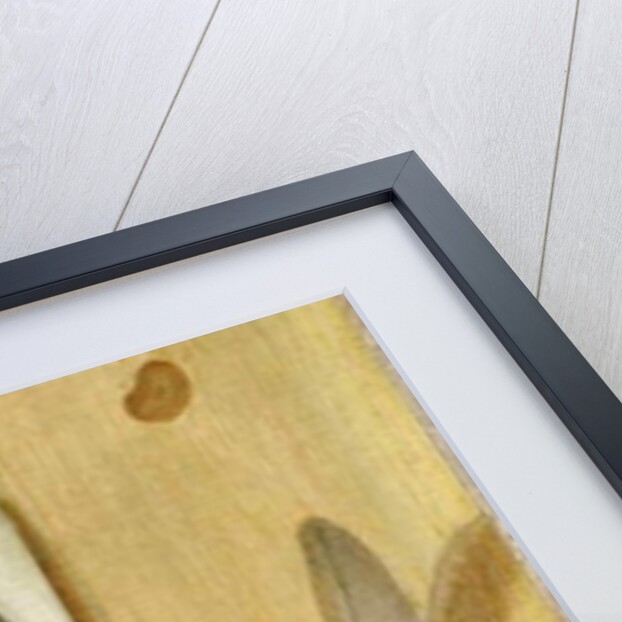 A trompe l'oeil of an engraving of King Charles II by Edwaert Colyer or Collier