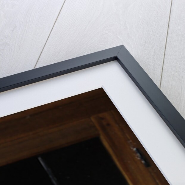 Trompe l'oeil of a cabinet door by Cornelis Norbertus Gijsbrechts