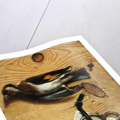 A tromple l'oeil of a pair of spectacles and a finch, 1740 by Conrad Manlich