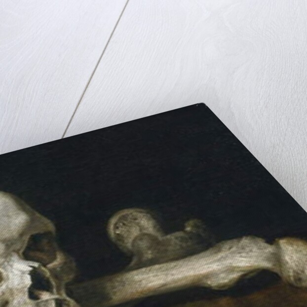 Memento Mori with a Skull and Crossbones, 1650-63 by Philips Gysels