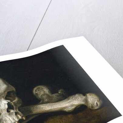 Memento Mori with a Skull and Crossbones, 1650-63 by Philips Gysels