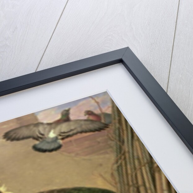 Turkeys by Johan Wenzel Peter