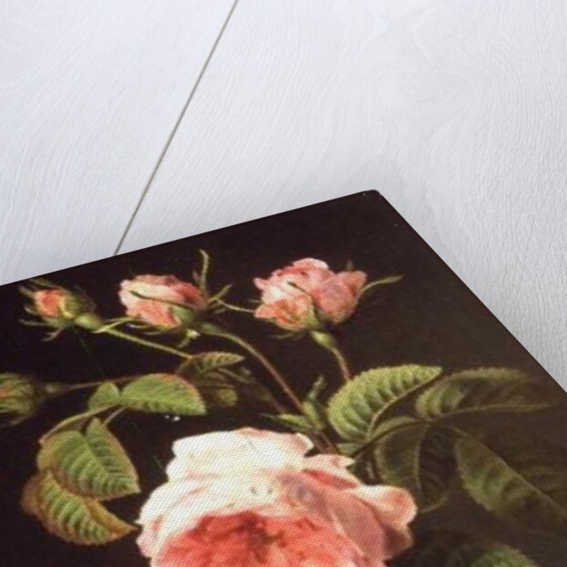 A Branch of Roses by Cornelis van Spaendonck