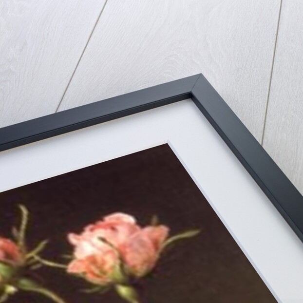 A Branch of Roses by Cornelis van Spaendonck