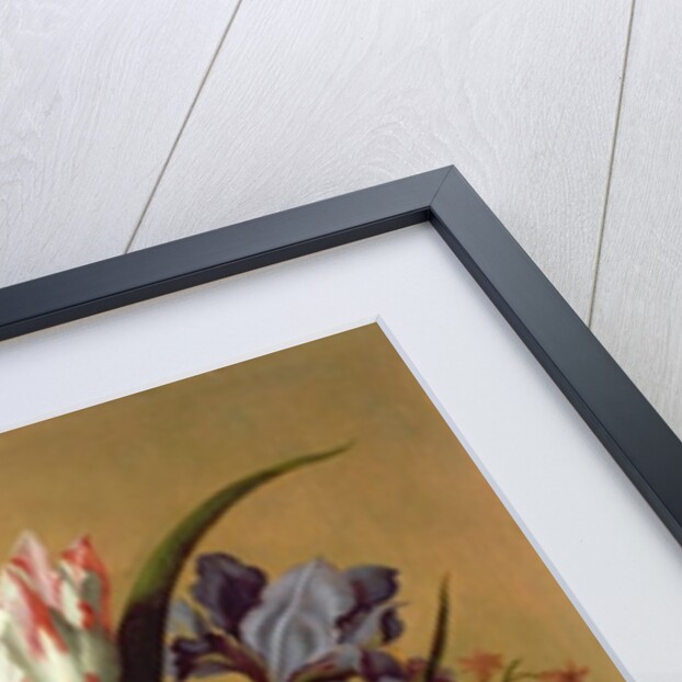 Flowers in a Vase, 1635 by Jacob Marrel