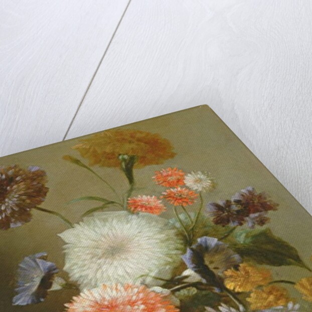Still Life of Flowers, 1699 by Franz Werner Tamm