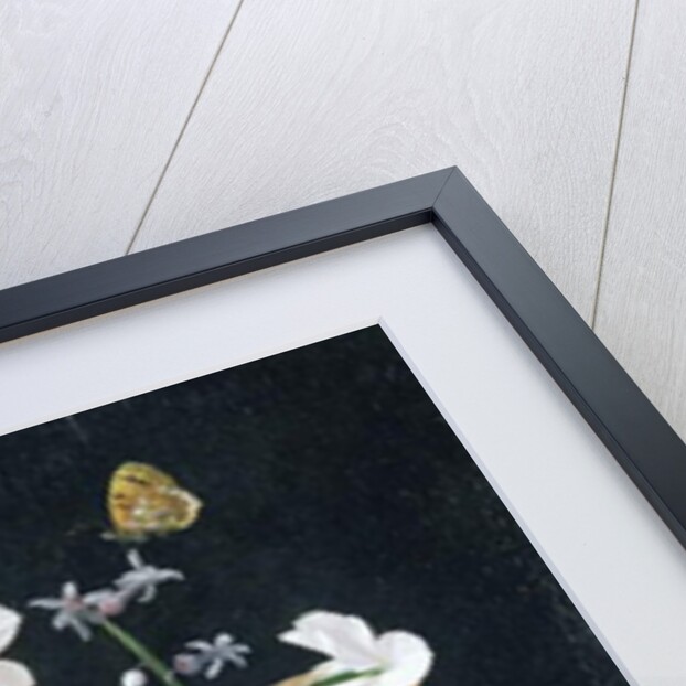 Roses, Narcissi, Tulips and other Flowers by Christiaan Luykx or Luycks