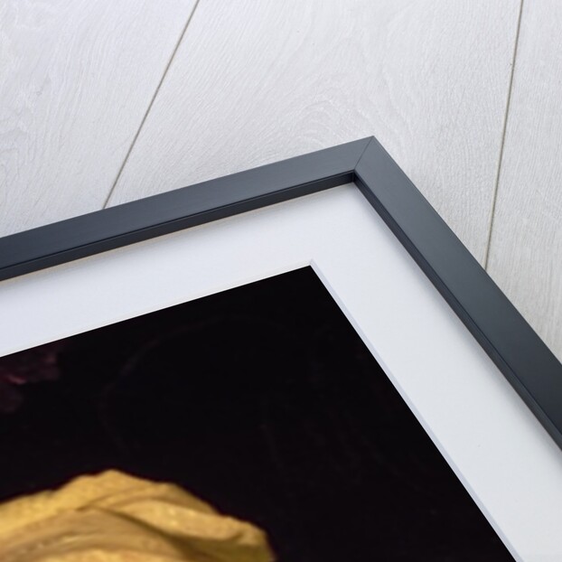 Nature, when unadorn'd, adorn'd the most by John Hoppner