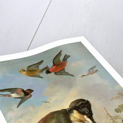 Chained monkey in a landscape by Melchior de Hondecoeter