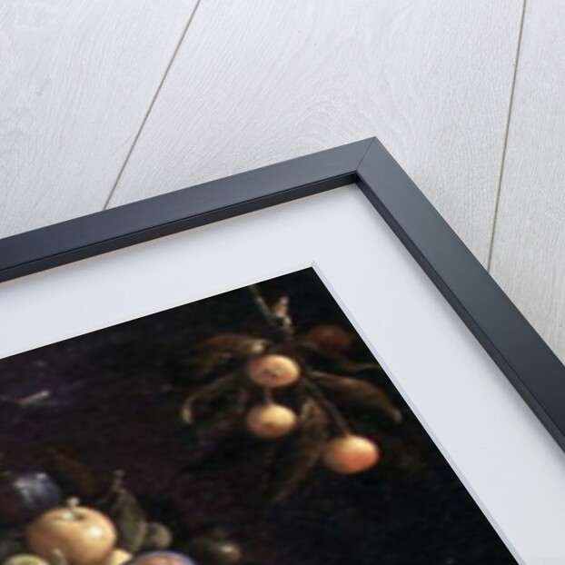 Still life of fruit in a blue and white bowl, c.1630 by Spanish School