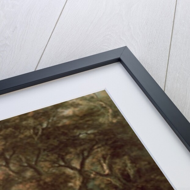 Cadmus and the Dragon by Francesco Zuccarelli