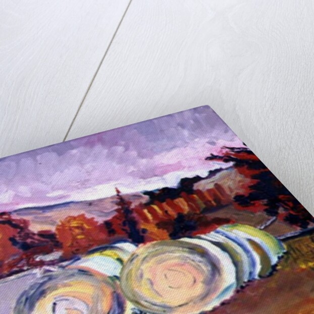 Haybales, Scotland, 1996 by Robert Hobhouse