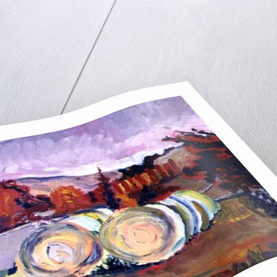 Haybales, Scotland, 1996 by Robert Hobhouse