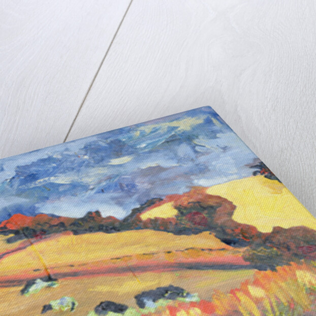 Sun, Fields, Cows: Somerset, 1998 by Robert Hobhouse