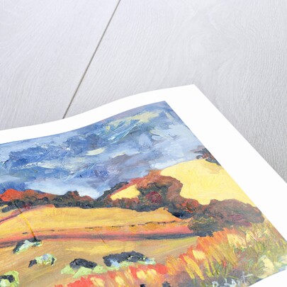 Sun, Fields, Cows: Somerset, 1998 by Robert Hobhouse