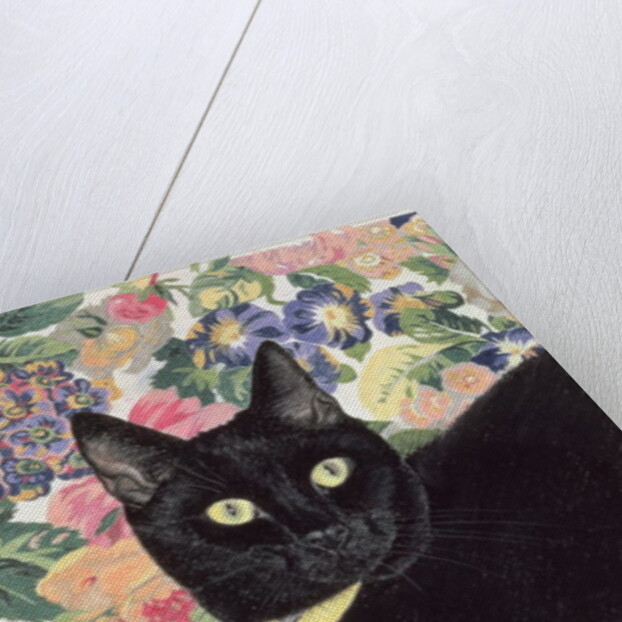 Black Cat by Anne Robinson