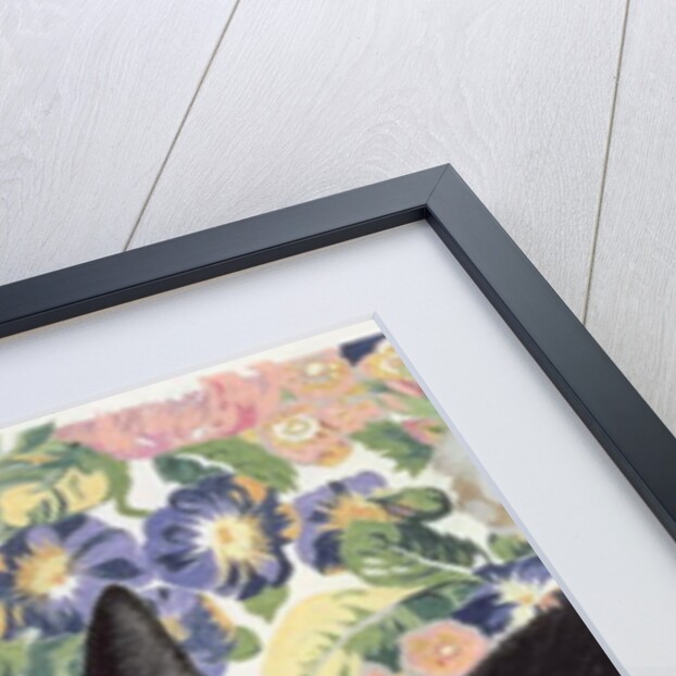 Black Cat by Anne Robinson