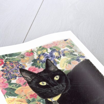 Black Cat by Anne Robinson