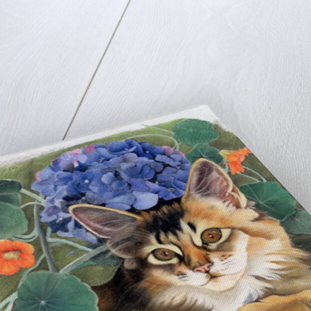 Sootsy with Hydrangea by Anne Robinson