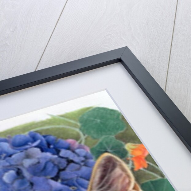 Sootsy with Hydrangea by Anne Robinson