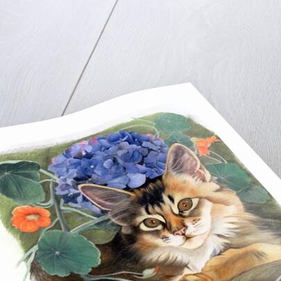 Sootsy with Hydrangea by Anne Robinson