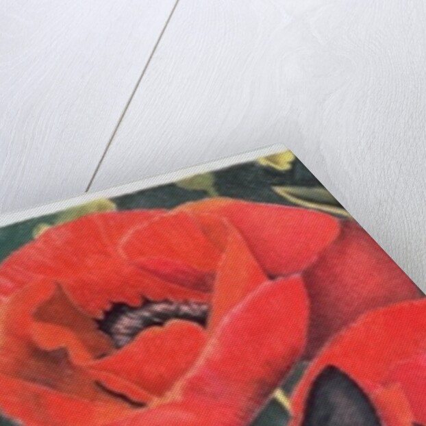 Black Cat with Poppies by Anne Robinson