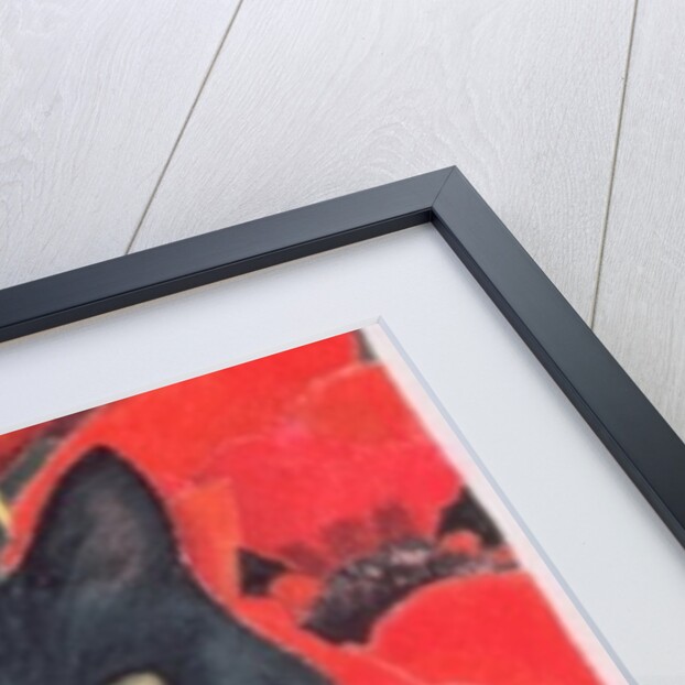 Black Cat with Poppies by Anne Robinson