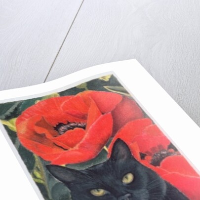 Black Cat with Poppies by Anne Robinson