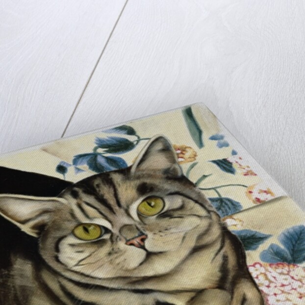 Tabby cat by Anne Robinson